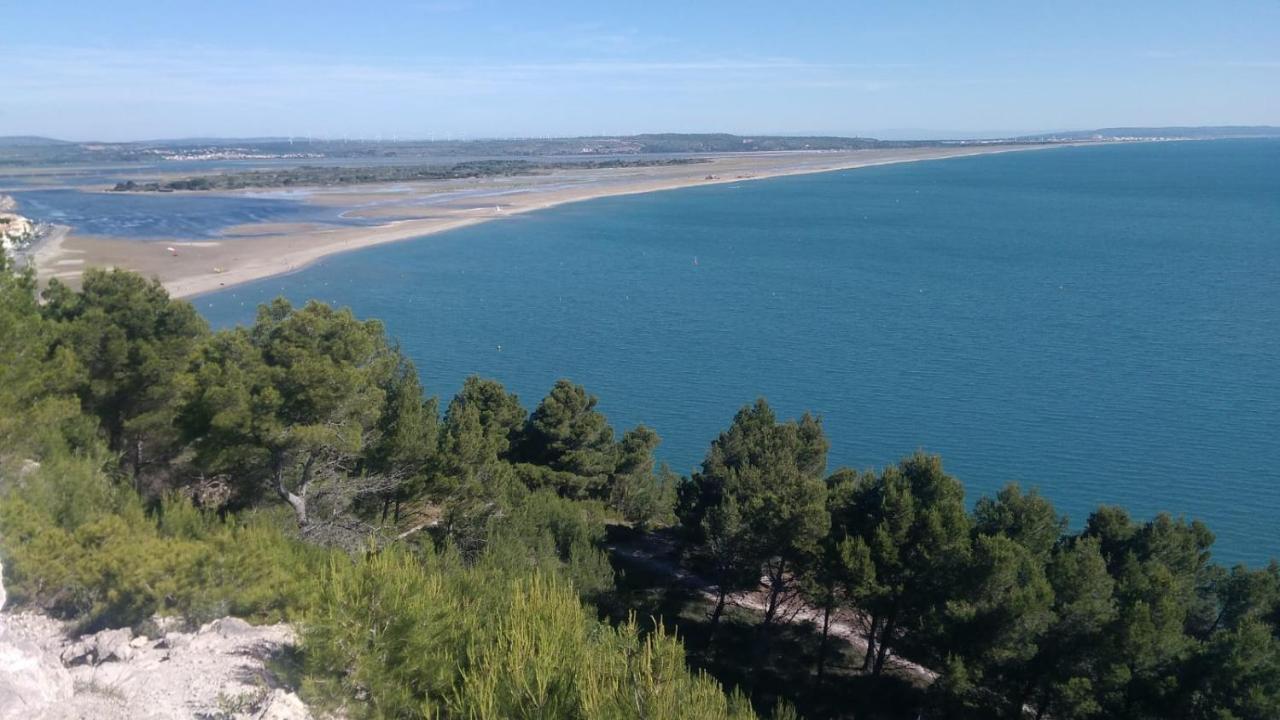 Villa Mas De La Riviere Villelongue-de-la-Salanque Esterno foto